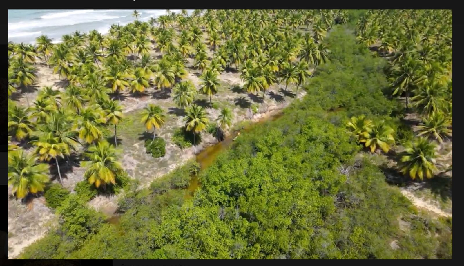 Coconut Grove from Above